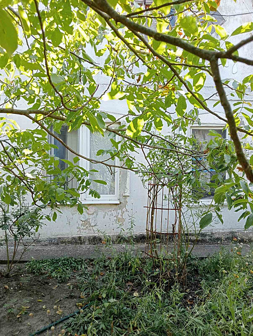 Продам дачу на берегу Хаджибеевского лимана (35 км от Одессы) Єгорівка - фото 5