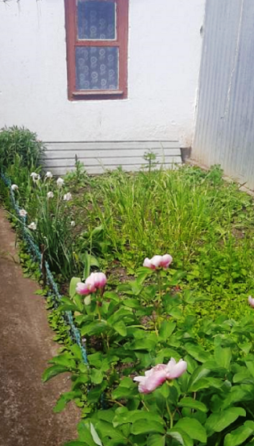 Продажа трехкомнатного дома по ул. Проектируемая 1-я Odessa