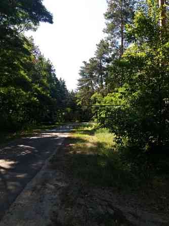 Продаж земельної ділянки 16 соток Protsiv