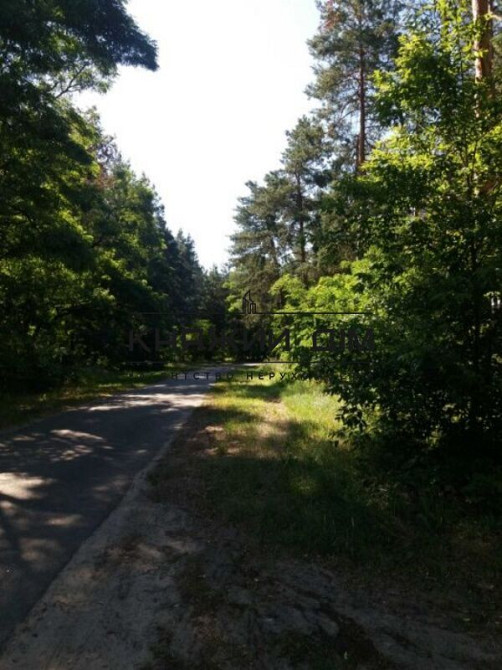 Продаж земельної ділянки 16 соток Protsiv - photo 5