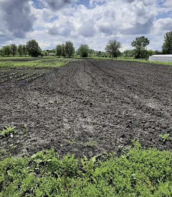 Продаж Будинок Червоне (Іллінецький район) - фото 3