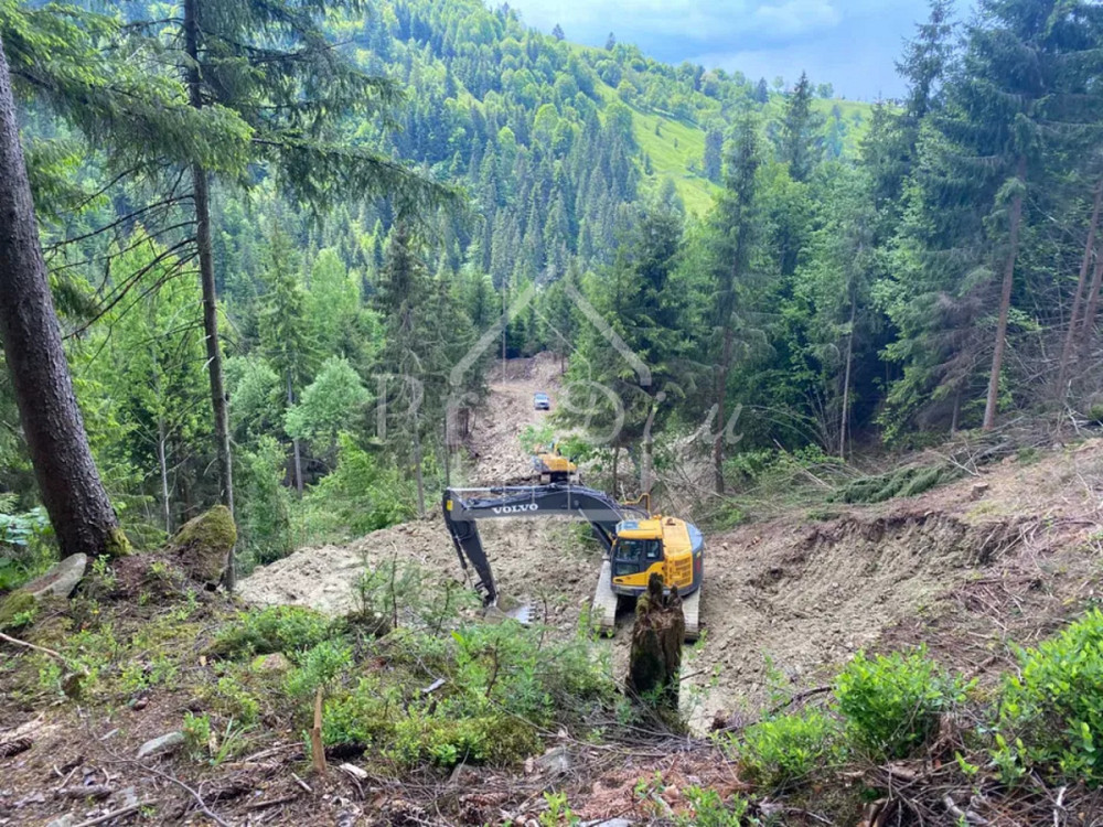 Продаж земельної ділянки 80 соток на Довга Верхній Ясенів - фото 7