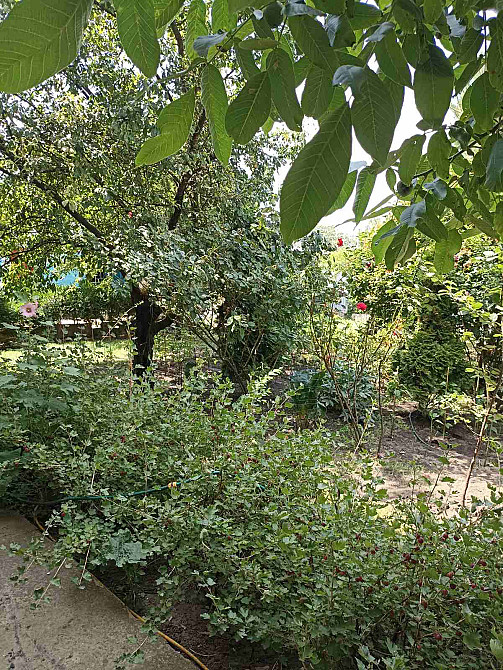 Продам дом в Фонтанке. Фонтанка - фото 9