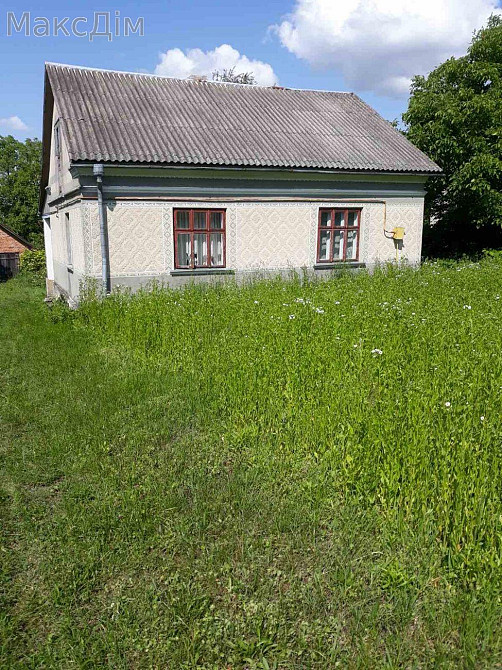 Продаж Будинок 3-кімнатний Zaliztsi - photo 1