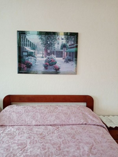 Оренда Квартира 1-кімнатна, 8/25 поверх на Олени Пчілки, 2б Київ - фото 3