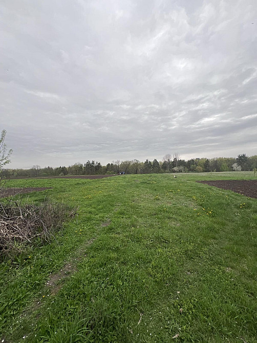 Продаж земельної ділянки 15 соток на Левків Житомир - изображение 4