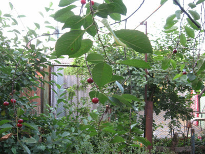 Продаж земельної ділянки 0 соток на ул. Дмитрия Донского, 17 Odessa - photo 1