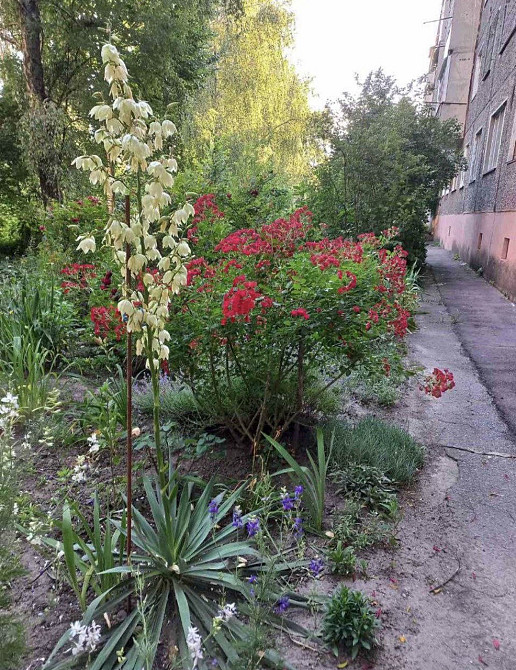 Продаж Квартира 1-кімнатна, 2/5 поверх на Ціолковського  7 Житомир - фото 1