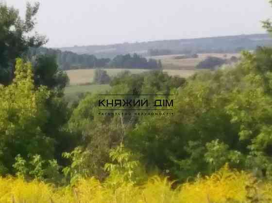 Продаж земельної ділянки 25 соток Мала Вільшанка (Білоцерківський район)