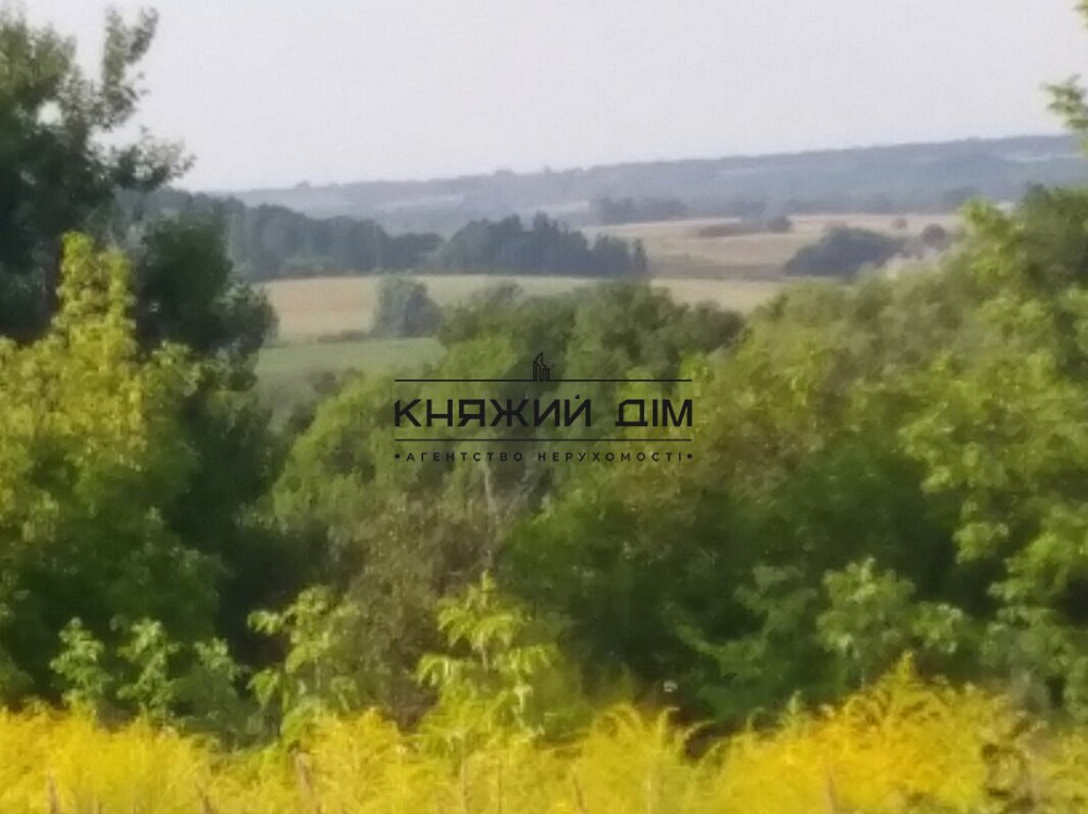 Продаж земельної ділянки 25 соток Mala Vilshanka (Bilotserkivskyi raion) - photo 3