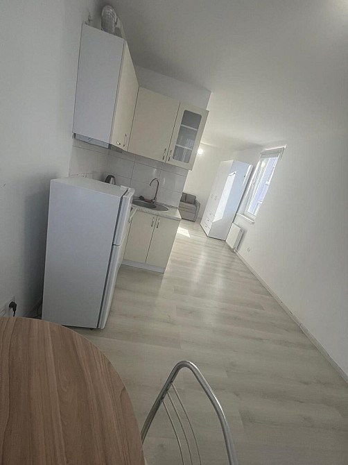 Оренда Квартира 1-кімнатна, 3/24 поверх на Пономарьова, 26 к 3 Kotsyubyns'ke - photo 4