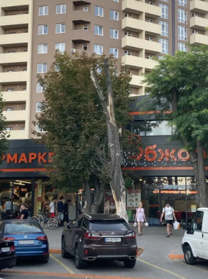 Продаж земельної ділянки 0 соток на ул. Одесская, 41 Одеса