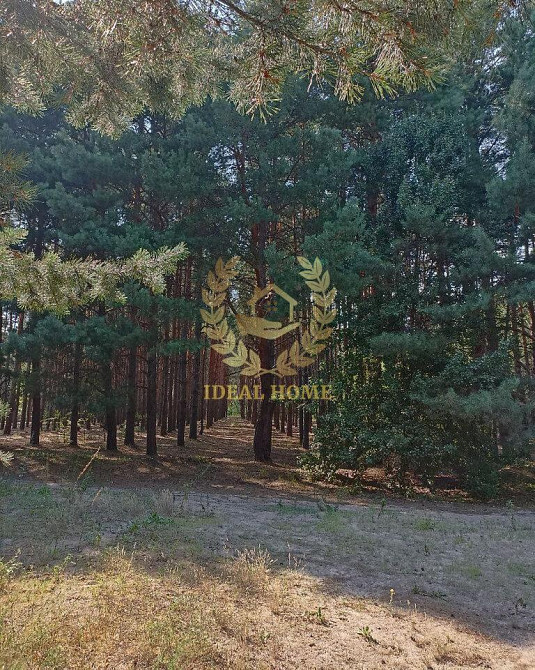 Продам будинок с. Рожни, Броварський район  - фото 17