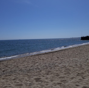 Продаж земельної ділянки 0.3 соток на ул. Дача Ковалевского, 111/2б Odessa - photo 1