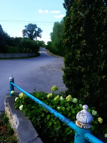 For sale land plot  area 20 ares Миру вулиця  - photo 5