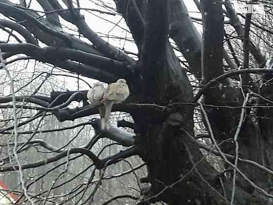 Продаж земельної ділянки 9 соток на Джерельна Вінниця