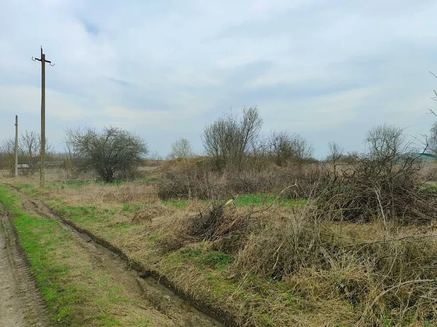 Продажа 2-этажный Дом с участком 15 сот 240 кв.м 4 комн. на Яноша Араня Тисаашвань - изображение 10