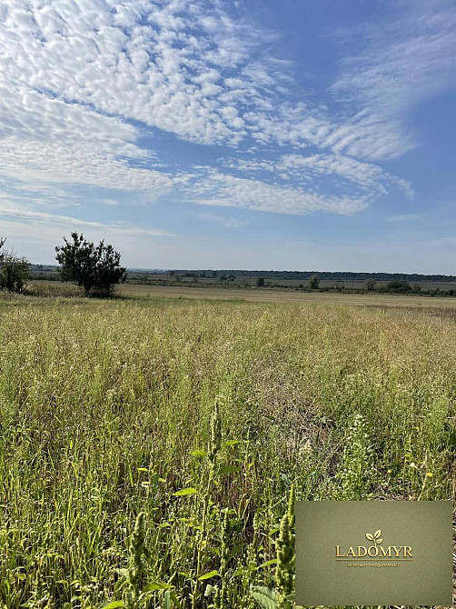 Продаж земельної ділянки 14 соток на вул. Центральна Zdolbuniv - photo 1