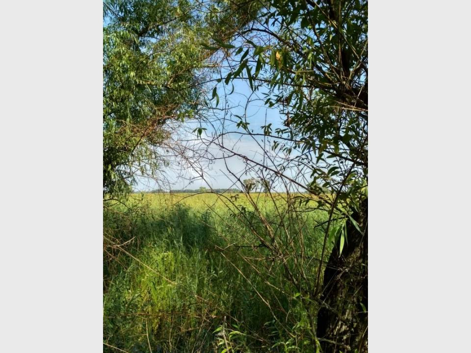 Продаж земельної ділянки на вул. Набережна, Черкаси - фото 5