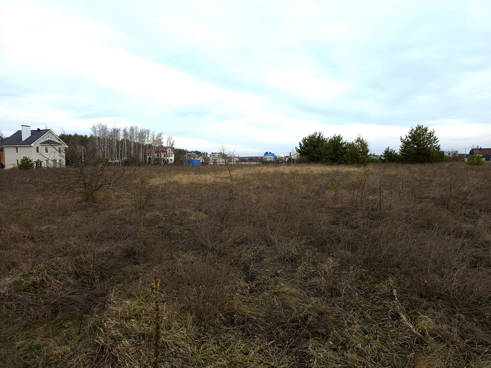 Продаж земельної ділянки 17.5 соток на Бердичівський пров. Пряжев - изображение 6