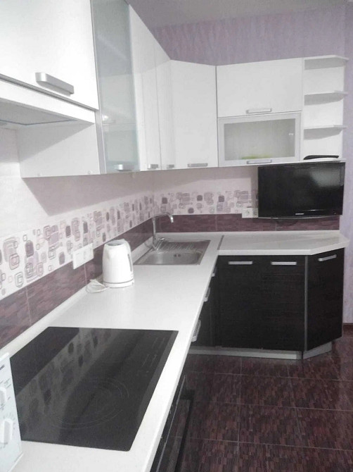 Оренда Квартира 1-кімнатна, 10/24 поверх на Княжий Затон, 9 Київ - фото 2