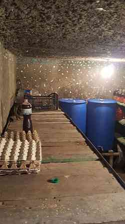 Капитальный дом  в с. Петровка Мала Петрівка