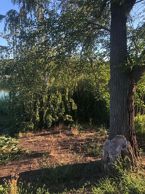 Продається будинок із садом та виходом до річки Високі Байраки - фото 11