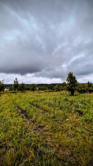 Продаж земельної ділянки 14 соток на урочище за плотами  - photo 10