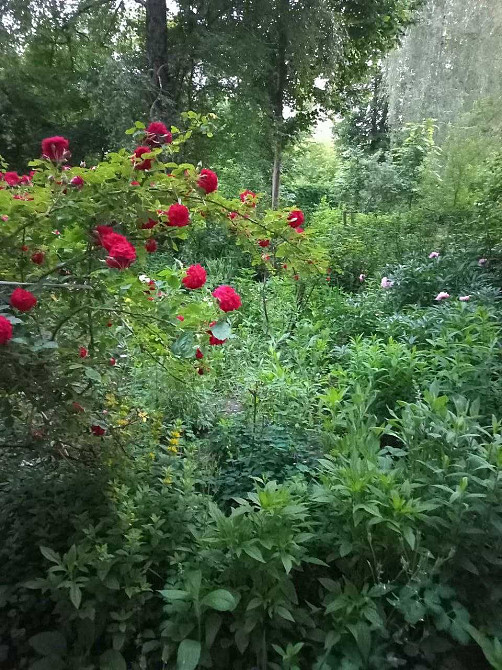 Продаж Квартира 1-кімнатна, 2/5 поверх на вул. Ціолковського Житомир - фото 14