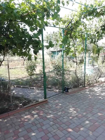 Продам дом с газом и удобствами в с.Луговое (Николаевская обл., 12 км до Коблево) Лугове - фото 19