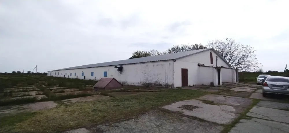 For sale Production Or Industrial Premises area 3070 sq.m floor 1 at MMGR+9F, Петриківський район, Дніпропетровська область, 51830 Loboikivka - photo 8