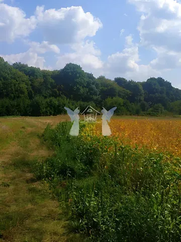 Продажа земельного участка  площадь 14 сот 4  - изображение 2