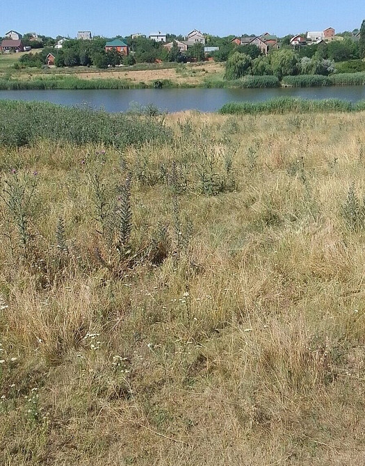 Продаж земельної ділянки 12 соток Бережинка (Кіровоградський район) - фото 7