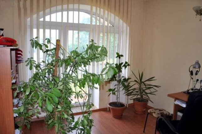 Продам дом в переулке Костанди Одеса - фото 5