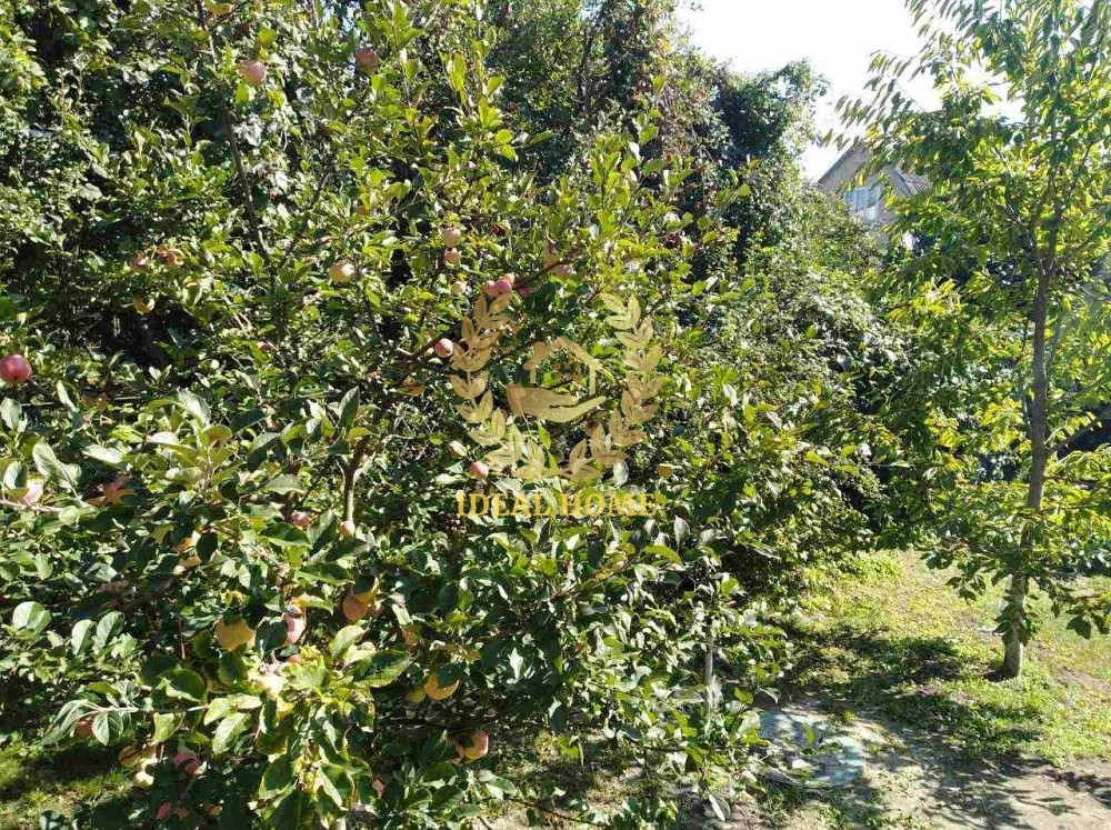 Продаж Будинок 3-кімнатний на Садовая ул., 5  - photo 10