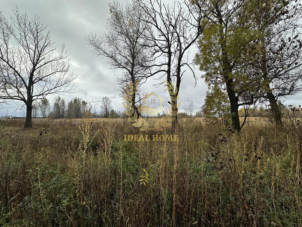 Продаж земельної ділянки 1.6 га на 40 лет Октября ул. Козаровичі - фото 2