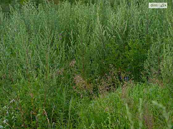 Продаж земельної ділянки 10 соток Вінниця