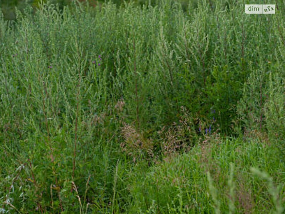 Продаж земельної ділянки 10 соток Вінниця - фото 1