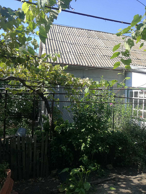 Продается дом с. Маяки. Маяки (Біляївський район) - фото 4