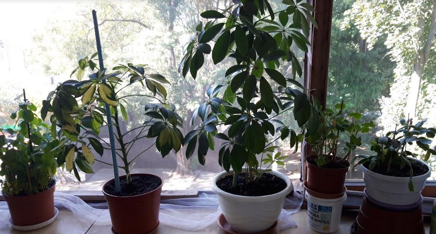 3-комнатная квартира на Таирова Odessa - photo 11