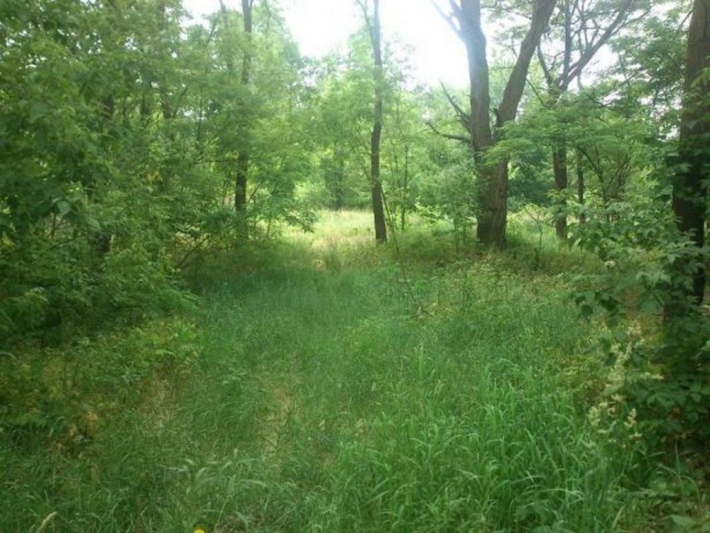 Продаж земельної ділянки 12 соток Вороньківка - фото 4