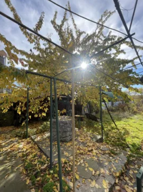 Продаж Будинок 3-кімнатний на ул. Торгова, 4 Pershotravneve (Izmailskyi raion) - photo 13