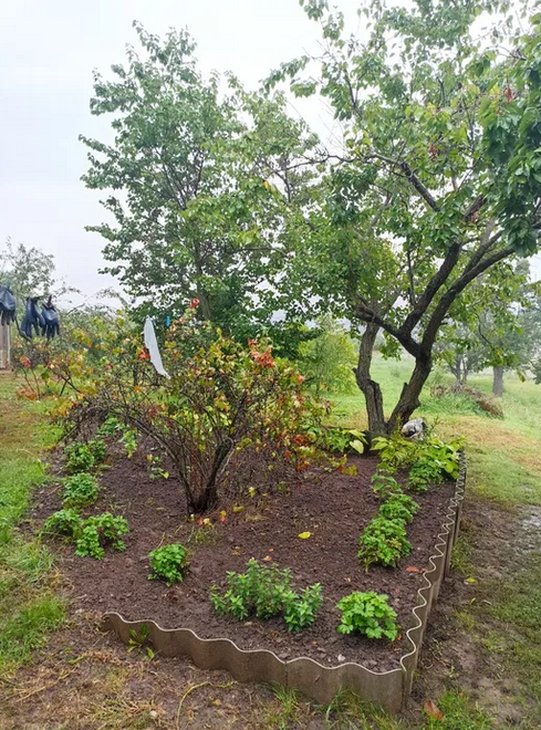 Продается Дом с участком 1,4 га, район Ст,Балашовка. Кропивницкий Кропивницький - фото 7