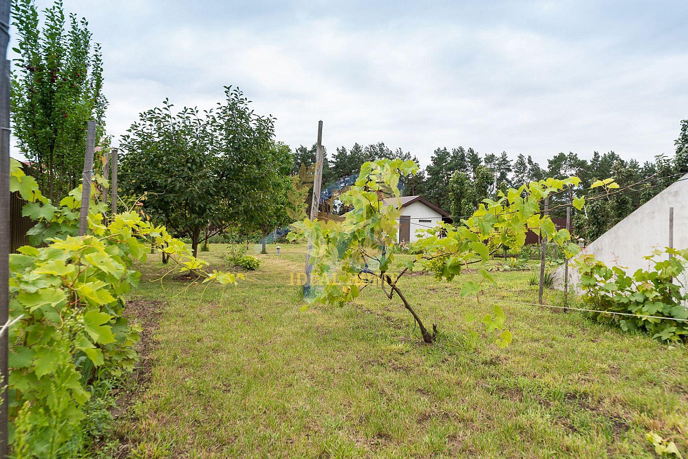 продам будинок с Данилівка Даниловка - изображение 7