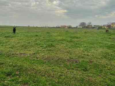 Продаж земельної ділянки 8 соток на улица Независимости, 26 Санжійка