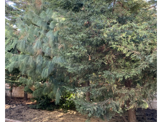 Эксклюзивный дом на Фонтанской дороге с видом на море Одеса - фото 16