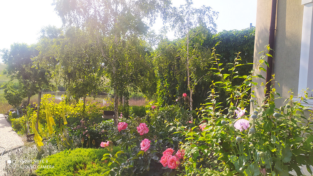 Продаётся прекрасный дом-усадьба в с. Великий Дальник Великий Дальник - фото 20