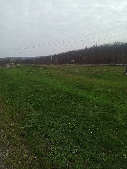 Продаж земельної ділянки 25 соток  - фото 6