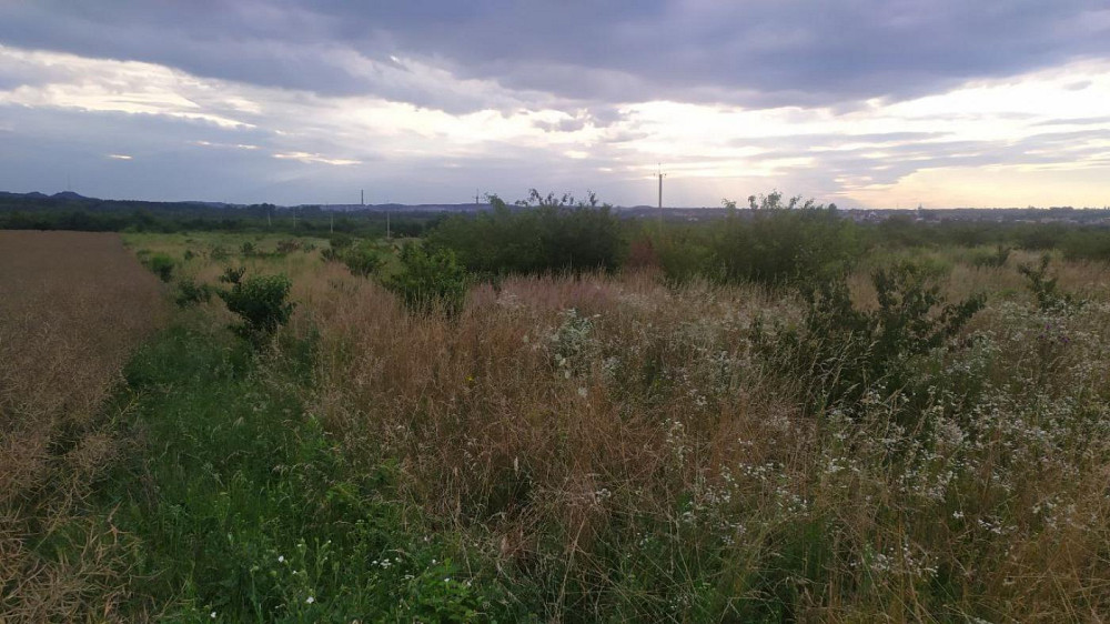 Продаж земельної ділянки 8 соток Ямпіль - фото 8