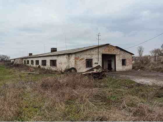 Продаж виробниче приміщення на Топиловка, приміщень - 3, поверх - 1/1 Topylivka